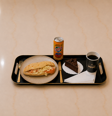 Panini saumon